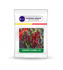 Chilli / Hot Pepper Sarpan 102 -10 grams